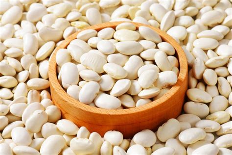 what are fava beans similar to